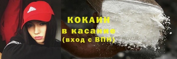 стаф Вязники