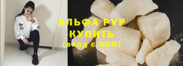 PSILOCYBIN Горно-Алтайск