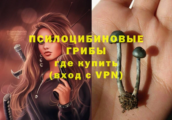 ALPHA-PVP Горнозаводск