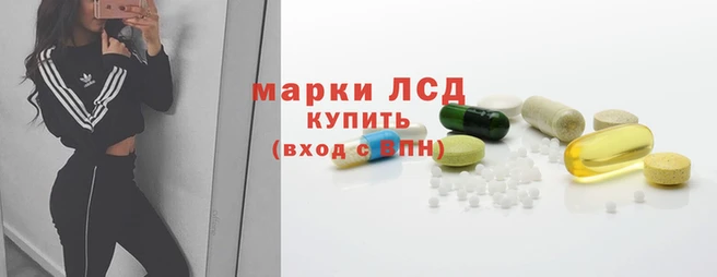 стаф Вязники