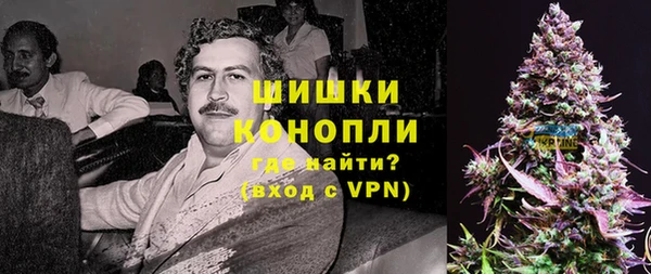 ПСИЛОЦИБИНОВЫЕ ГРИБЫ Горняк