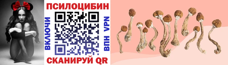 Псилоцибиновые грибы Psilocybine cubensis Купить закладки Льгов